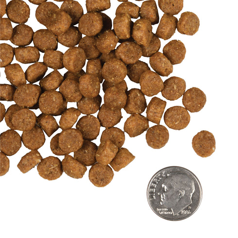 Fromm Gold Puppy Dry Dog Food - Chicken - 5lb Bag